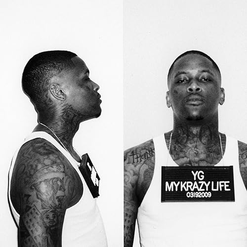 meet the flockers yg mp3 meet the flockers yg mp3